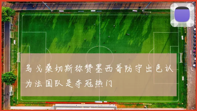 乌戈桑切斯称赞墨西哥防守出色认为法国队是夺冠热门