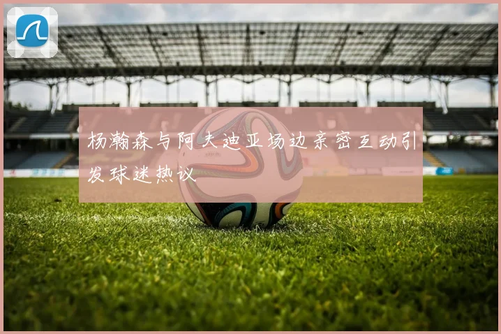 杨瀚森与阿夫迪亚场边亲密互动引发球迷热议